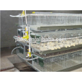 automatic chicken/dog/fox iron wires cages mesh welding machine for sale